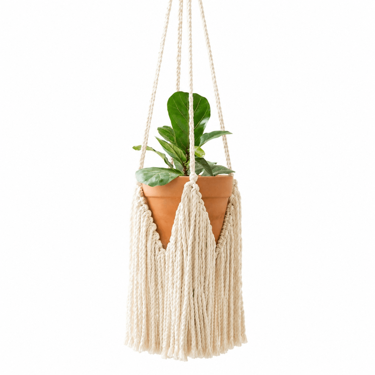 Macrame Hanging Plant Basket - Image 2