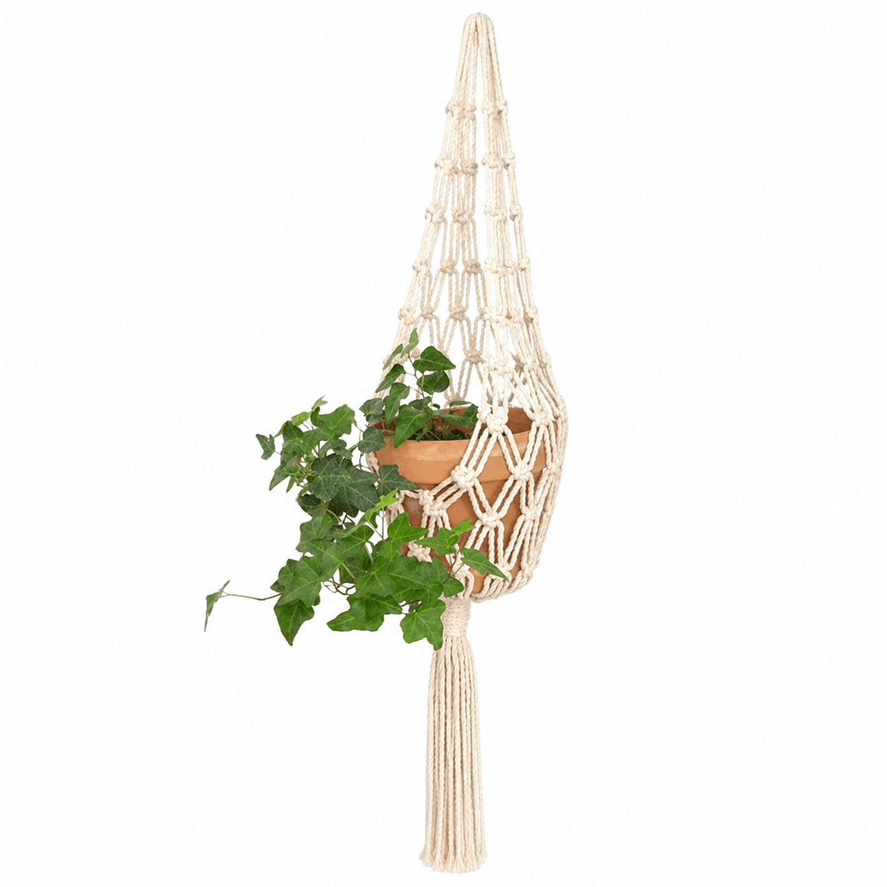 Macrame Hanging Plant Basket - Image 3