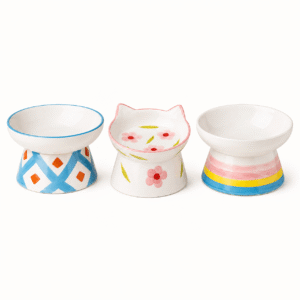 Flora Elevated Ceramic Cat Bowl